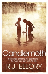 Enlarge image Cover: Candlemoth - Orion (an Imprint of The Orion Publishing Group Ltd )