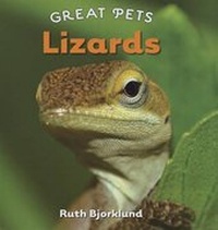 Enlarge image Cover: Lizards - Cavendish Square Publishing