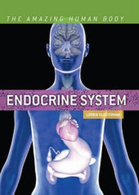 Enlarge image Cover: Endocrine System - Cavendish Square Publishing