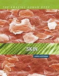 Cover: Skin - Cavendish Square Publishing