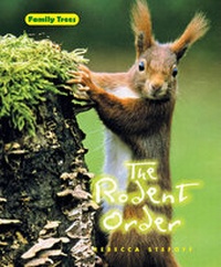 Enlarge image Cover: The Rodent Order - Cavendish Square Publishing