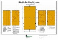 Abbildung von: Die Hufschlagfiguren - FN Verlag