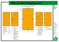 Abbildung von: Die Hufschlagfiguren - FN Verlag