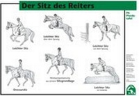 Abbildung von: Der Sitz des Reiters - FN Verlag