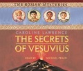 Cover: The Secrets of Vesuvius - Orion (an Imprint of The Orion Publishing Group Ltd )