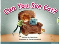 Cover: Bug Club Guided Fiction Reception Pink B Can You See Cat - Pearson Education Limited