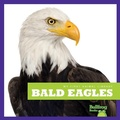 Cover: Bald Eagles - Bullfrog Books