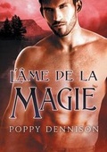 Cover: L'Ame de la Magie - Dreamspinner Press