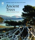 Cover: Ancient Trees of the National Trust - Scala Arts & Heritage Publishers Ltd