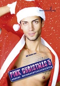 Cover: Pink Christmas 5 - Himmelst&uuml;rmer