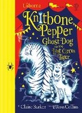 Cover: Knitbone Pepper and the Last Circus Tiger - Usborne Publishing Ltd
