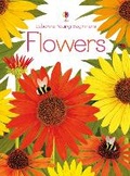 Cover: Flowers - Usborne Publishing Ltd
