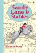 Cover: Sandy Lane Stables Dream Pony - Usborne Publishing Ltd