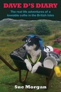 Cover: Dave D's Diary - Austin Macauley Publishers