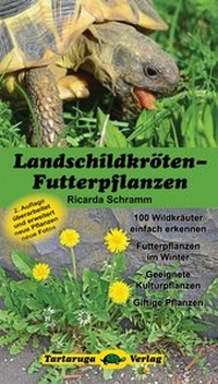 Abbildung von: Landschildkröten-Futterpflanzen - Tartaruga-Verlag