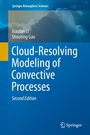 Cover: Cloud-Resolving Modeling of Convective Processes - Springer