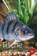 Cover: Fische - BLV
