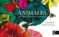Cover: Animales que hacen cosas en silencio - Faktor&iacute;a K de Libros