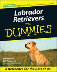 Enlarge image Cover: Labrador Retrievers for Dummies - Hungry Minds Inc,U.S.