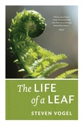 Abbildung von: The Life of a Leaf - University of Chicago Press