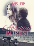 Cover: Abschied in Triest - Lindhardt og Ringhof Forlag