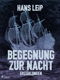 Cover: Begegnung zur Nacht - Lindhardt og Ringhof Forlag