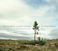 Abbildung von: Oldest Living Things in the World - University of Chicago Press