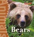 Cover: Bears - Cavendish Square Publishing