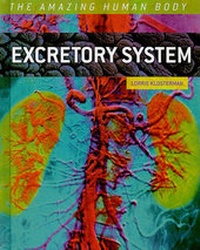 Enlarge image Cover: Excretory System - Cavendish Square Publishing