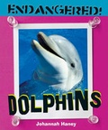 Cover: Dolphins - Cavendish Square Publishing