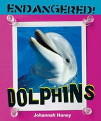 Enlarge image Cover: Dolphins - Cavendish Square Publishing