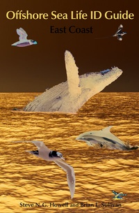 Abbildung von: Offshore Sea Life ID Guide - Princeton University Press