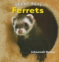 Cover: Ferrets - Cavendish Square Publishing