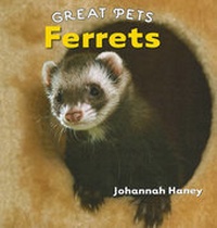Enlarge image Cover: Ferrets - Cavendish Square Publishing