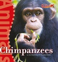 Cover: Chimpanzees - Cavendish Square Publishing