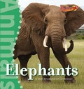 Cover: Elephants - Cavendish Square Publishing