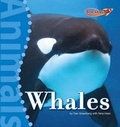 Cover: Whales - Cavendish Square Publishing