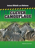Cover: Us Aa&D Clever Camouflage - Cavendish Square