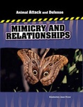 Cover: Us Aa&D Mimicry/Relationships - Cavendish Square