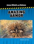 Cover: Us Aa&D Amazing Armour - Cavendish Square