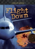 Cover: Flight Down - 12-Story Library