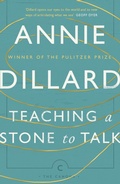 Cover: Teaching a Stone to Talk - Canongate Canons