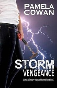 Enlarge image Cover: Storm Vengeance - Windtree Press