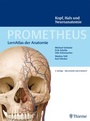 Bild: PROMETHEUS Kopf, Hals und Neuroanatomie - Thieme