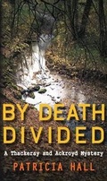 Cover: By Death Divided - Allison & Busby