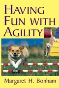 Cover: Having Fun with Agility without Competition - Hungry Minds Inc,U.S.