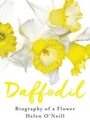 Cover: Daffodil - Fourth Estate