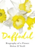 Cover: Daffodil - Fourth Estate