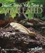 Cover: Next Time You See a Maple Seed - National Science Teachers Association