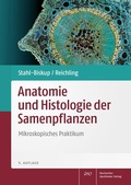 Cover: Anatomie und Histologie der Samenpflanzen - Deutscher Apotheker Verlag
